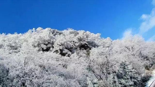全都是凶手