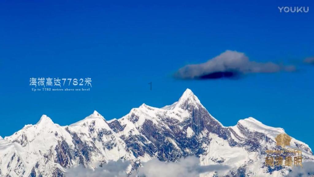 打脸来得太快！大批金发碧眼的难民涌来，美英法突然相互推诿