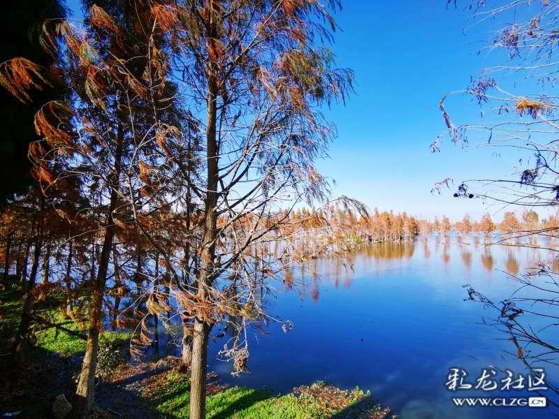 深度解读胃癌分型:广东药科大学广州复星禅诚医院肿瘤科潘静教授的专业指导