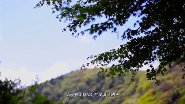 蔬菜饼怎么做又软又好吃游戏画面