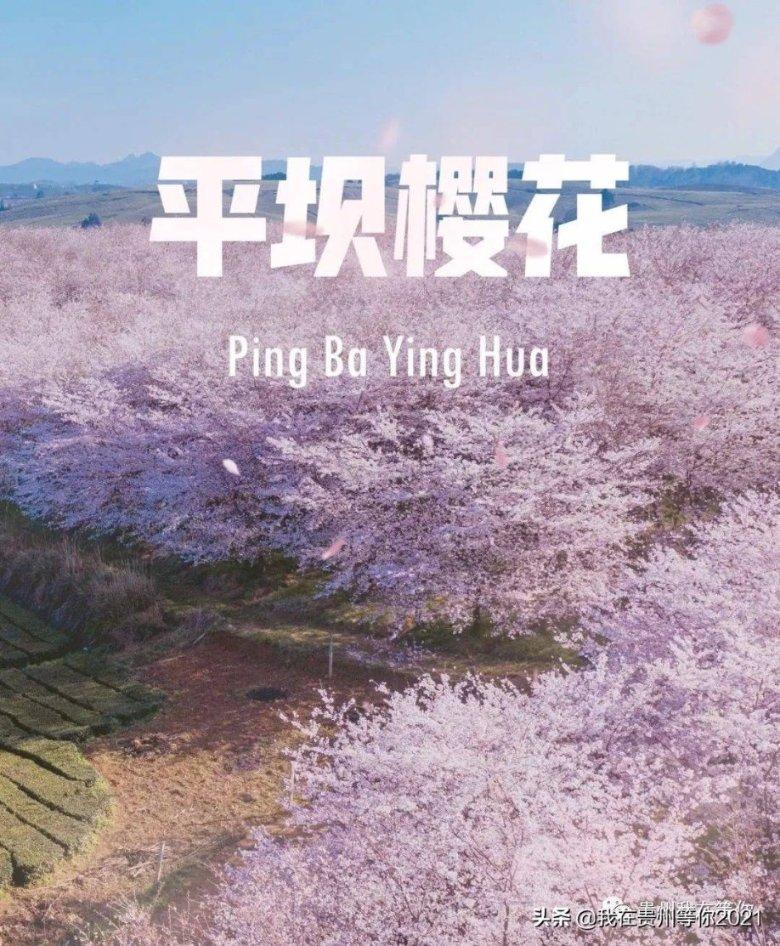 时尚潮流公主