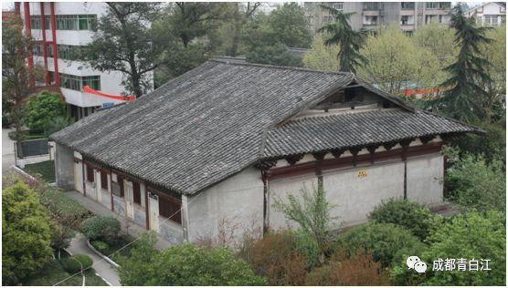 救援蓝色小兔