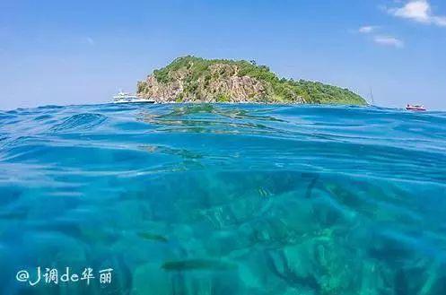 切错号多离谱?张佳宁夸自己?唐嫣背刺杨幂工作室称被盗号,周一围身材被嘲