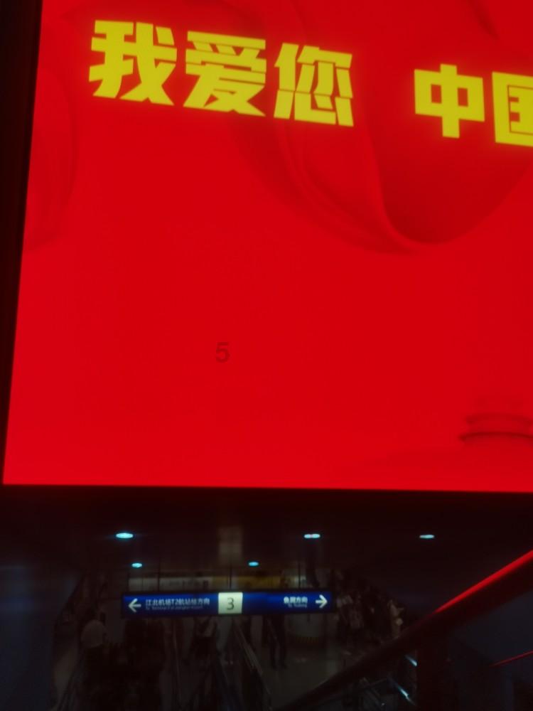创作猫