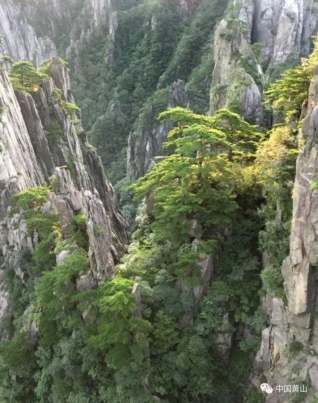 探索奇妙世界,尽在30岁还想找个愿意丁克的优秀男朋友合理吗?蜗牛问答平台